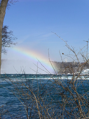 [View of rainbow extending from top of the falls to the buildings on the left in a portrait view.]